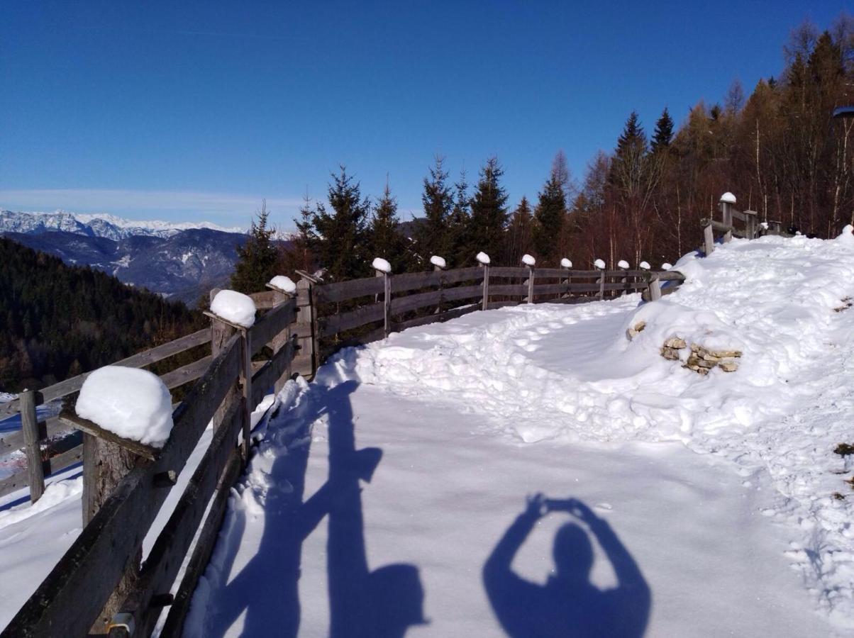 Baita Del Nonno Dei Pitoi Vila Bedollo Exterior foto