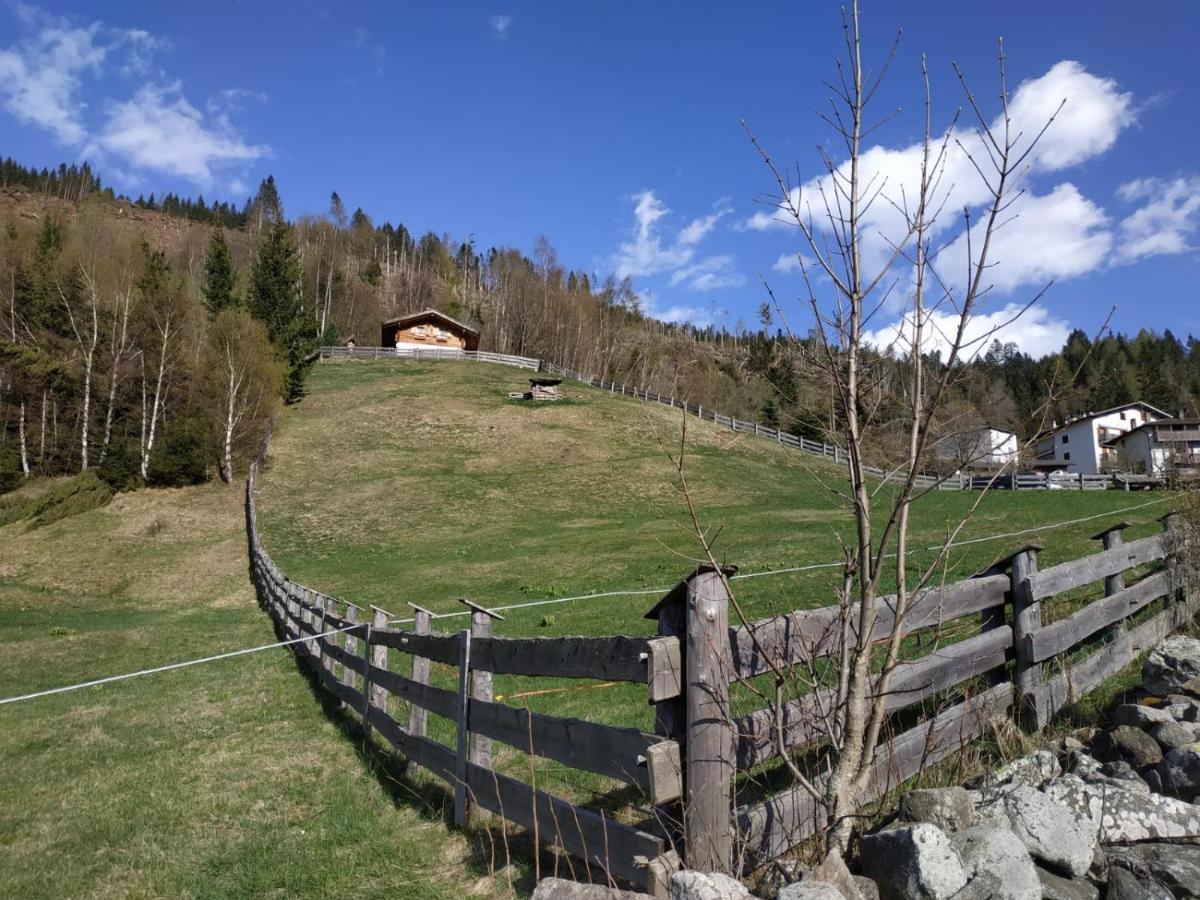 Baita Del Nonno Dei Pitoi Vila Bedollo Exterior foto